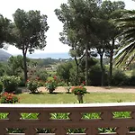 Conti Lacona