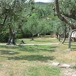 Conti 4*
