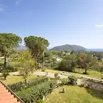 Conti