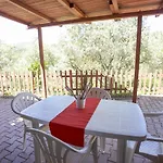 Conti