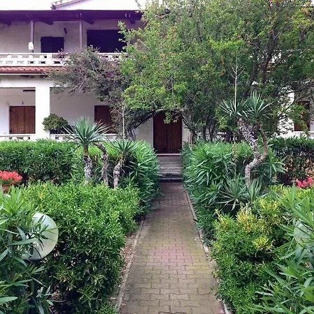 Conti Lacona