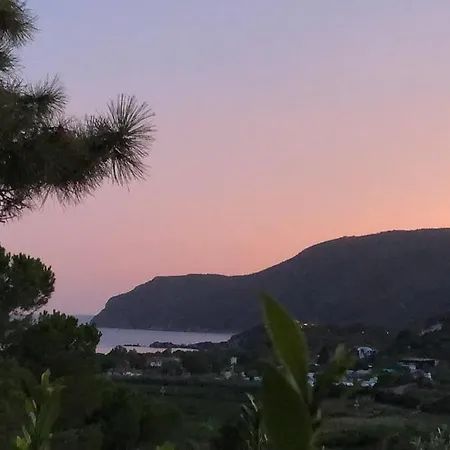Conti Lacona