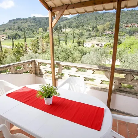 Conti 4*