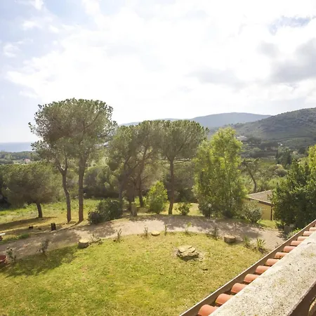 Conti Lacona