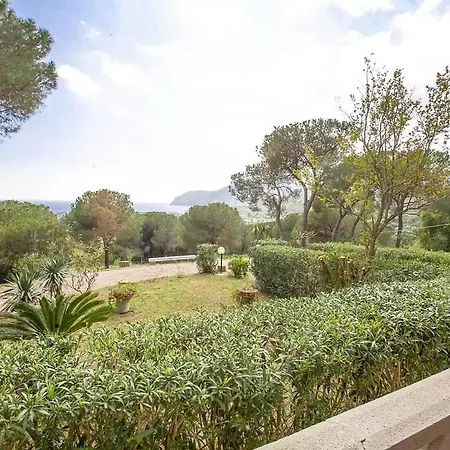 Conti 4* Lacona
