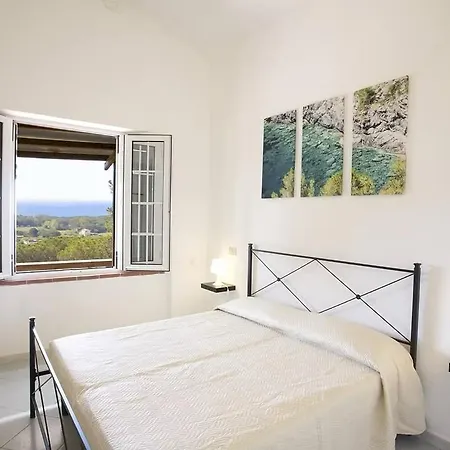 Conti 4*