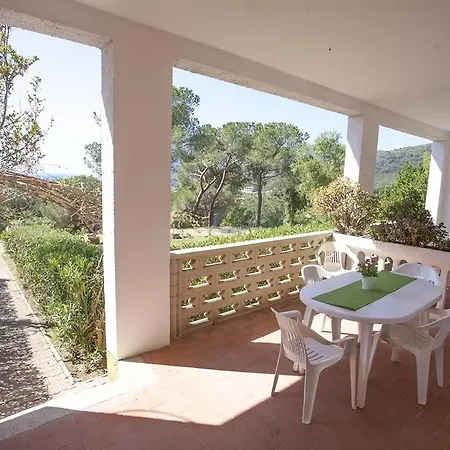 Conti 4*