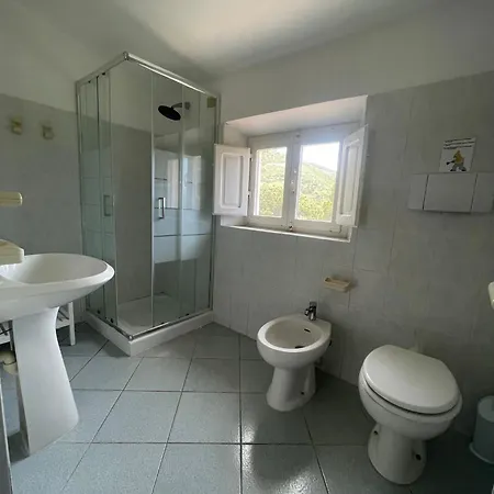 Conti Lacona