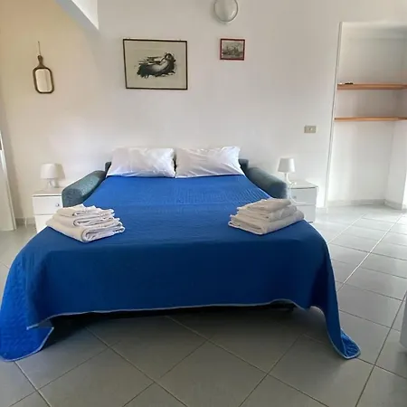 Conti 4*