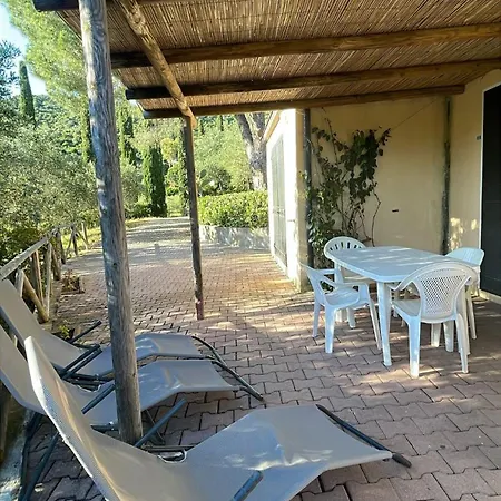 Conti 4*
