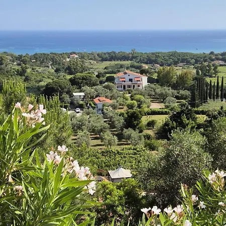 Conti 4* Lacona