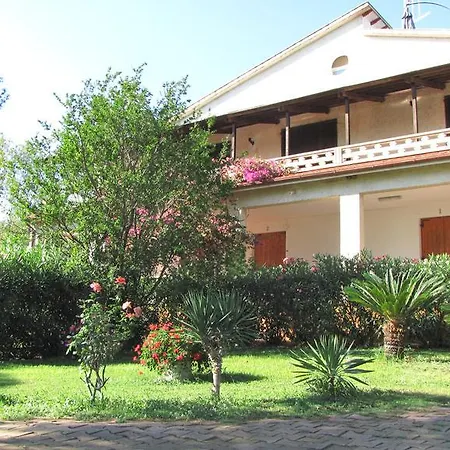 Conti 4*