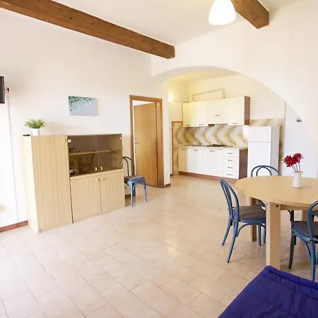 Conti Lacona