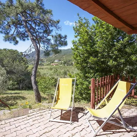 Conti 4*