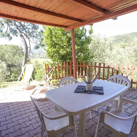 Conti 4*