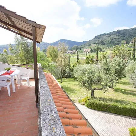 Conti 4* Lacona