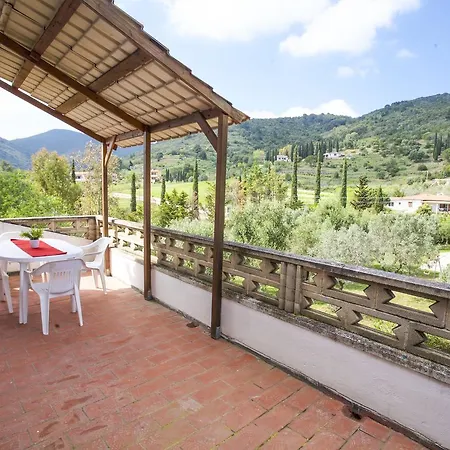 Conti 4*