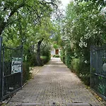 Conti 4* Lacona