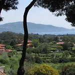 Conti Lacona