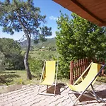 Conti 4*