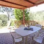 Conti 4*