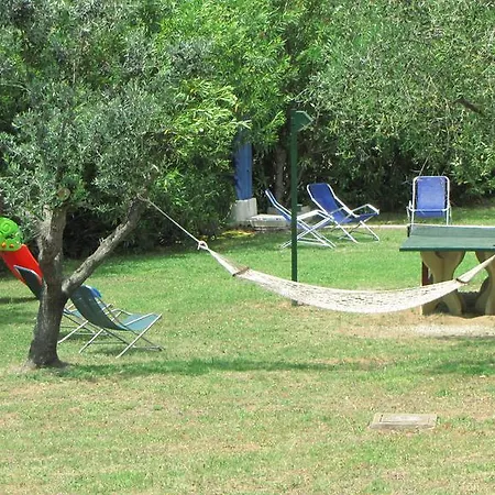 Conti לקונה
